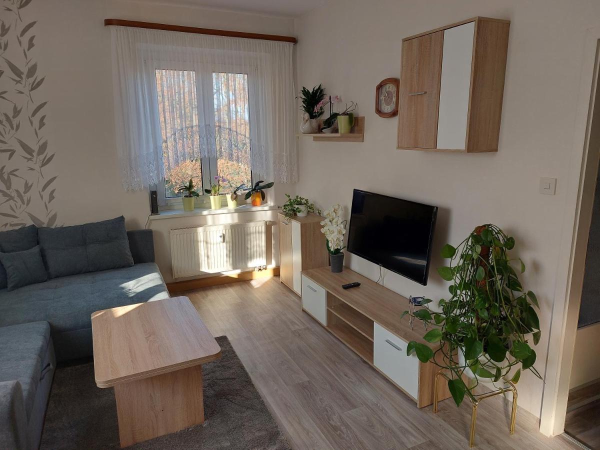 Ferienwohnung Lehmann 皮尔纳 外观 照片